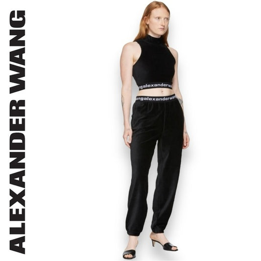 Alexander wang sweatpants authentic