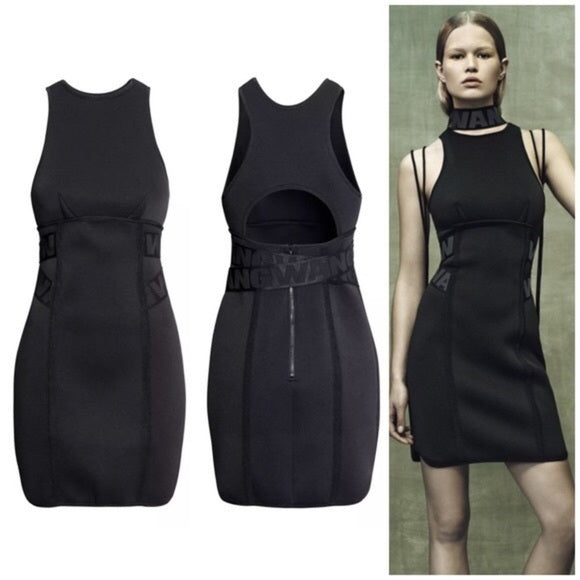 Rare Alexander wang x H&M collab dress new